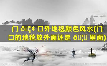 门 🦢 口外地毯颜色风水(门口的地毯放外面还是 🦋 里面)